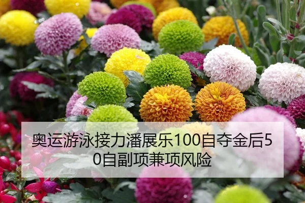 奥运游泳接力潘展乐100自夺金后50自副项兼项风险
