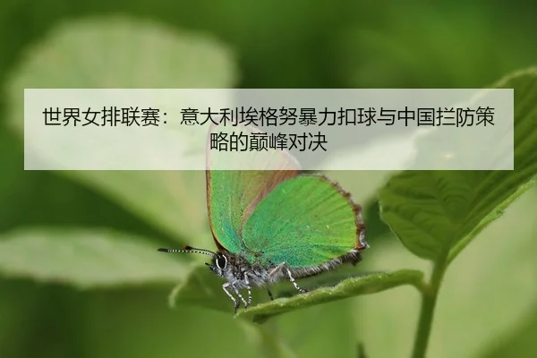 shi-jie-nv-pai-lian-sai-yi-da-li-ai-ge-nu-bao-li-kou-qiu-yu-zhong-guo-lan-fang-ce-lve-de-dian-feng-dui-jue-3-633.jpg