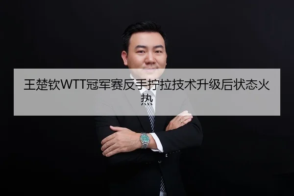 王楚钦WTT冠军赛反手拧拉技术升级后状态火热