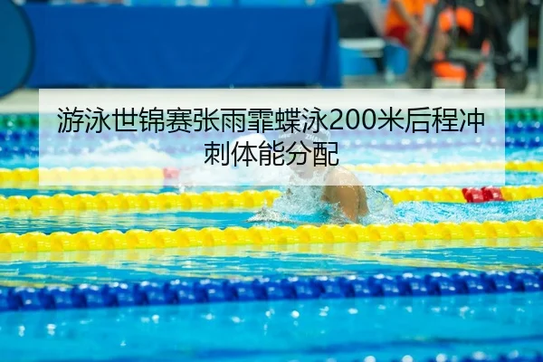 you-yong-shi-jin-sai-zhang-yu-fei-die-yong-mi-hou-cheng-chong-ci-ti-neng-fen-pei-3-330.jpg