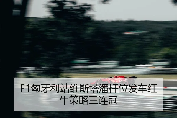 xiong-ya-li-zhan-wei-si-ta-pan-gan-wei-fa-che-hong-niu-ce-lve-san-lian-guan-2-277.jpg