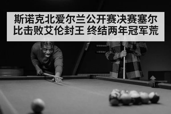 斯诺克北爱尔兰公开赛决赛塞尔比击败艾伦封王 终结两年冠军荒